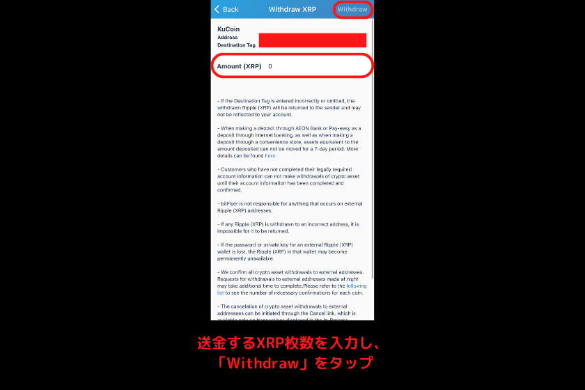 画像11：仮想通貨FLUXノード「リップルコイン（XRP）をKuCoinに送金5」