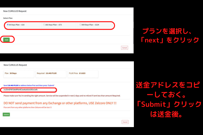 画像23：仮想通貨FLUXノード「HostNodesでVPS契約2」