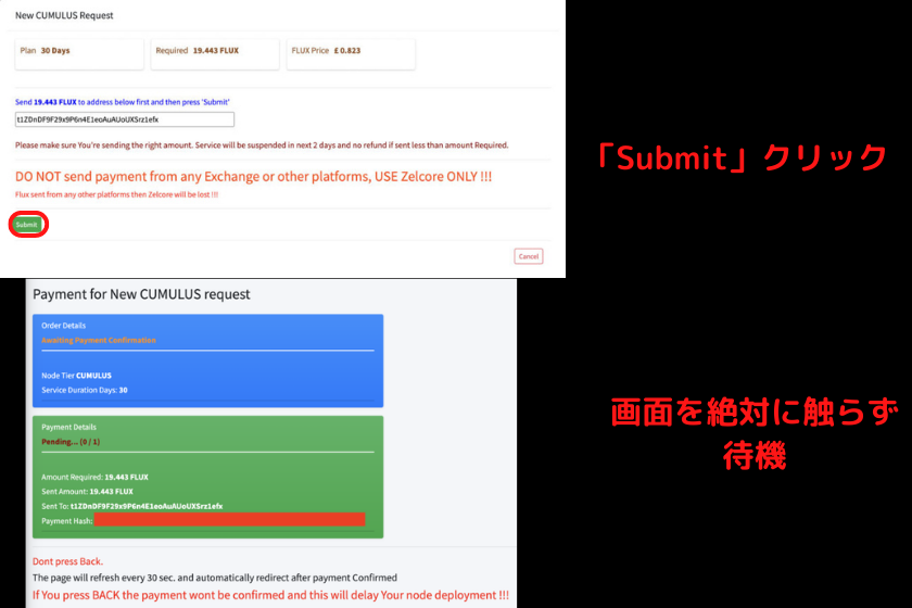 画像25：仮想通貨FLUXノード「HostNodesでVPS契約4」