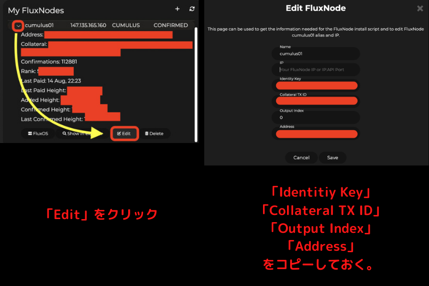 画像29：仮想通貨FLUXノード「Zelcoreウォレットから情報取得3」