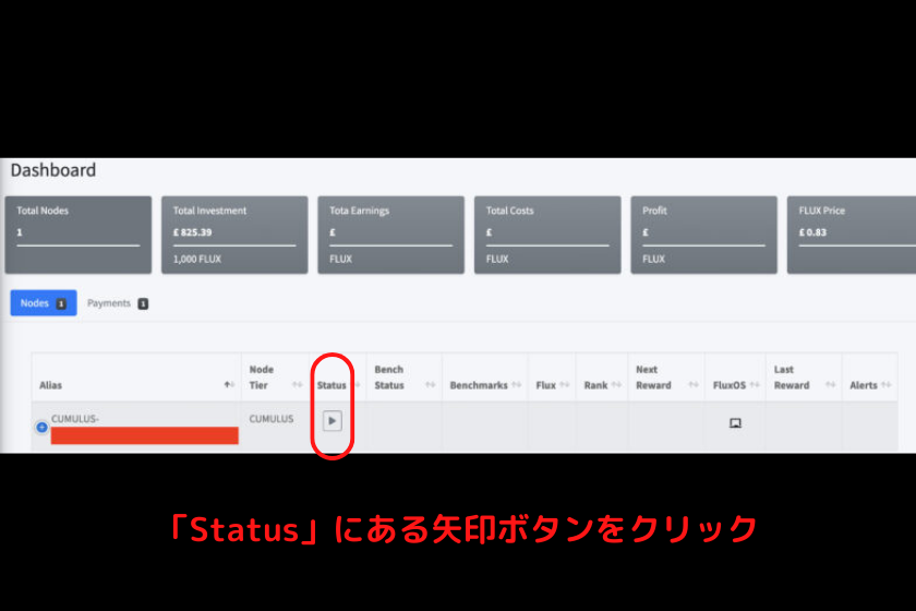 画像30：仮想通貨FLUXノード「ノード起動1」