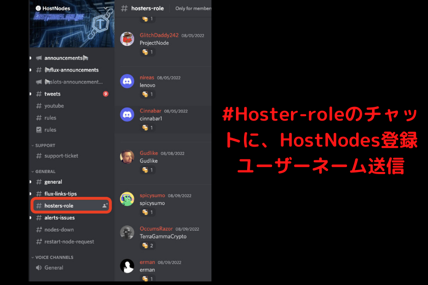 画像34：仮想通貨FLUXノード「HostNodesの公式Discord参加 」